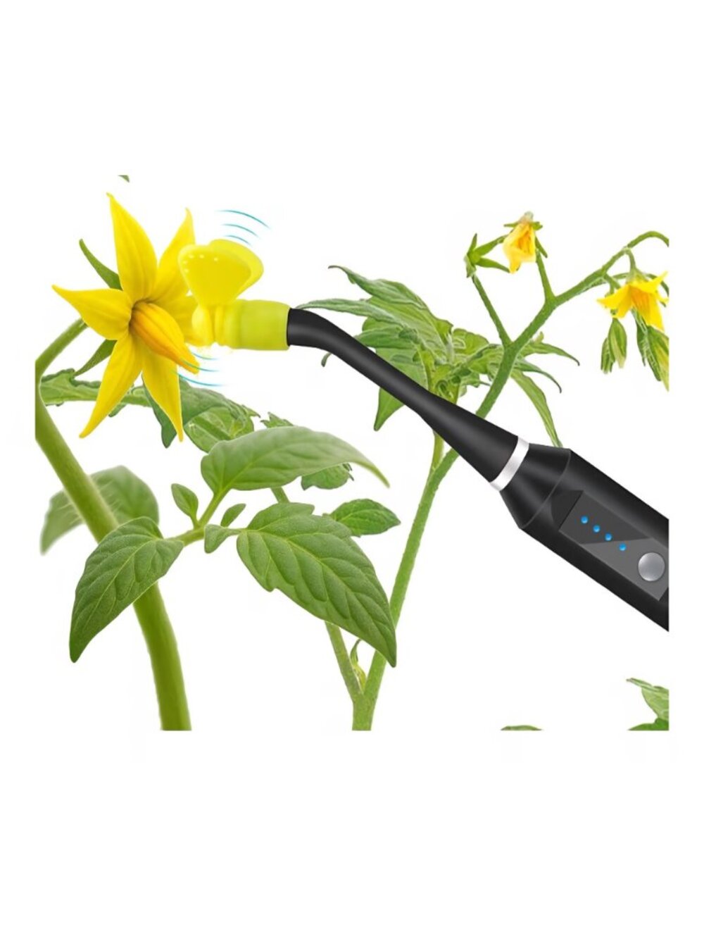 Pollinating Tool - Picture 3 of 3